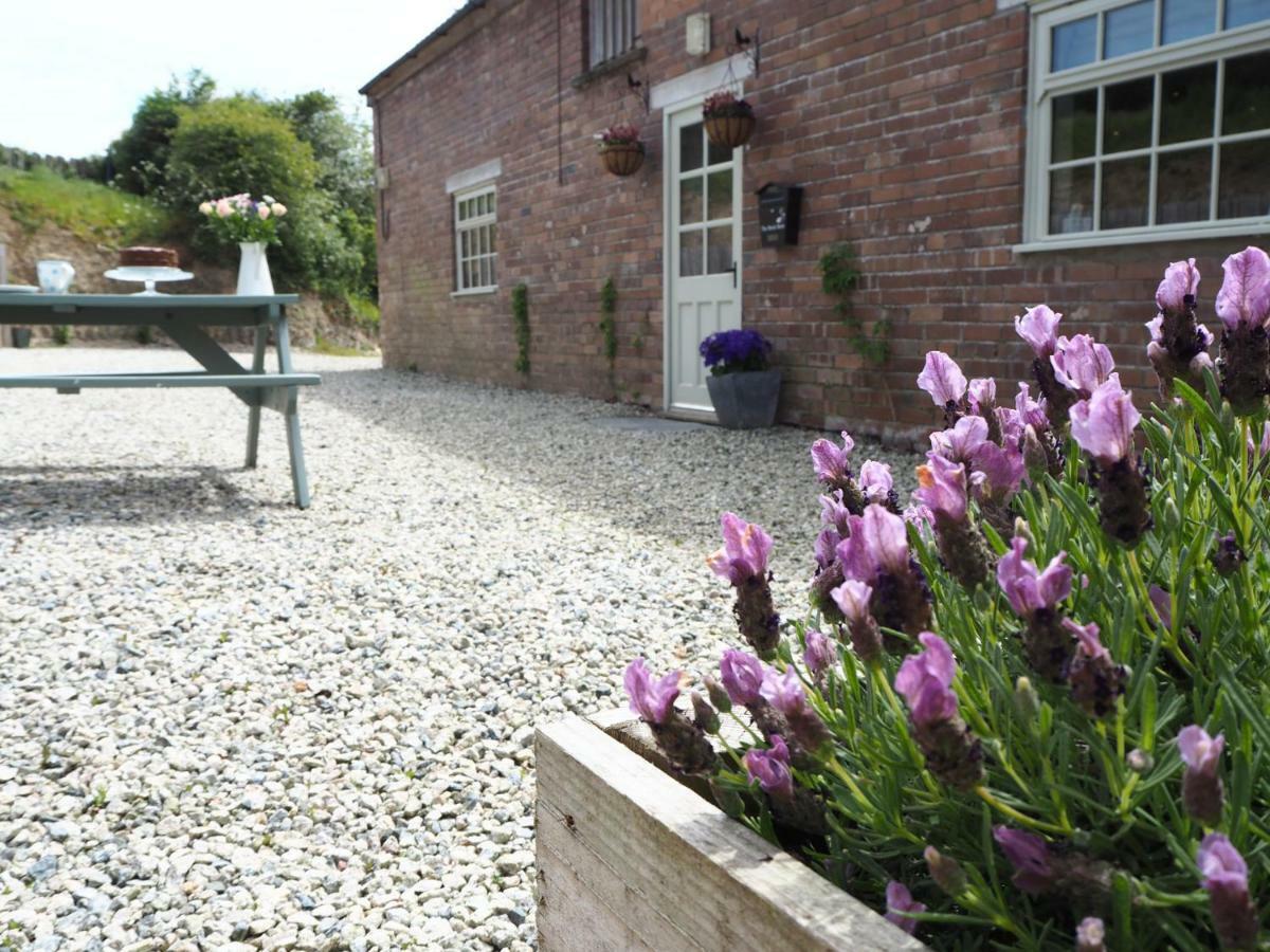 Apartament The Brick Barn, Drewsteignton Exeter Zewnętrze zdjęcie